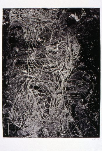 _Dissection_ 2006 Etching 32.5x25.5